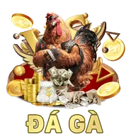 Bắt Đầu Trải Nghiệm