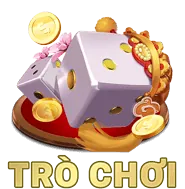 Biện pháp kỹ thuật và tổ chức